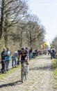 Aleksejs Saramotins in The Forest of Arenberg- Paris Roubaix 201