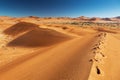 Footprints on sand dune Royalty Free Stock Photo