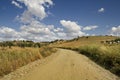 Alentejo landscape