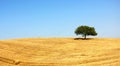 Alentejo, Portugal.