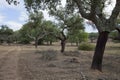 Alentejo,Portugal