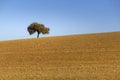 Alentejo typical farmland fields and Mediterranean landscape, tourist destination region, Portugal