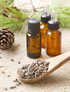 Aleppo pine essential oil. Royalty Free Stock Photo