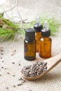 Aleppo pine essential oil. Royalty Free Stock Photo