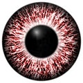 Alergic eye 3d red texture with black fringe