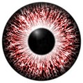 Alergic eye 3d red texture with black fringe