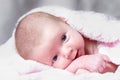 Alert New Born Girl Royalty Free Stock Photo