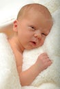 Alert newborn baby or infant