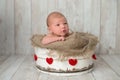 Newborn Baby Boy in a Wooden Bucket Royalty Free Stock Photo