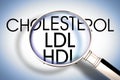 Alertness about High and Low Density Lipoprotein - HDL and LDL blood cholesterol levels concept image seen through a magnifying Royalty Free Stock Photo