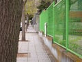 Empty sidewalks of people for the state of alert in Spain