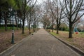 Ales, Occitanie, France, Empty lane of a park towards the municipality museumm of history