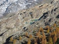 Aletsch Glacier And Colorful Larch Forest