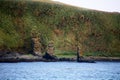 Aleutian Islands, Baby Islands, Alaska