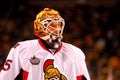 Alex Auld Ottawa Senators Royalty Free Stock Photo