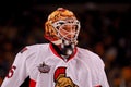 Alex Auld Ottawa Senators Royalty Free Stock Photo