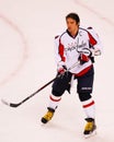 Alex Ovechkin Washington Capitals Royalty Free Stock Photo