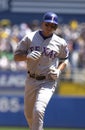 Alex Rodriguez Texas Rangers Royalty Free Stock Photo