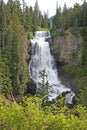 Alexander falls, Callaghan Valley, Canada Royalty Free Stock Photo