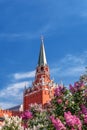 Alexander Garden during the flowering period. Trinity Kremlin tower in lilac colors.