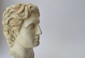 Alexander the Great Royalty Free Stock Photo