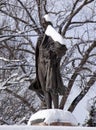 Alexander Hamilton Statue Treasury Washington Royalty Free Stock Photo