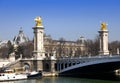 The Alexander III Bridge across Seine river in Paris, France Royalty Free Stock Photo