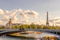 Alexander III Bridge and Eiffel Tower on a Sunny Summer Day Royalty Free Stock Photo