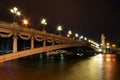 The Alexander III bridge at night - Paris Royalty Free Stock Photo