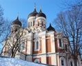 Alexander Nevsky Cathedral 2 Royalty Free Stock Photo