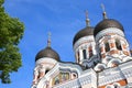 The Alexander Nevsky Cathedral is an orthodox cathedral in the Tallinn Old Town, Estonia. Royalty Free Stock Photo