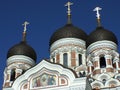 Alexander Nevsky Cathedral in Tallinn , Estland Royalty Free Stock Photo