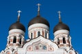 Alexander Nevsky Cathedral. Tallinn, Estonia Royalty Free Stock Photo