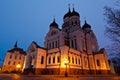 Alexander Nevsky Church in Tallinn at Night