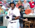 Alexander Palma, Charleston RiverDogs Royalty Free Stock Photo