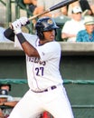 Alexander Palma, Charleston RiverDogs