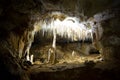 Alexandra Cave in Naracoorte Royalty Free Stock Photo