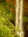 Alexandra Falls, Mauritius Royalty Free Stock Photo