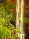 Alexandra Falls, Mauritius