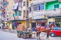 The cart with vegetables, Alexandria, Egypt Royalty Free Stock Photo