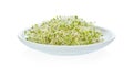 Alfafa sprouts on white background Royalty Free Stock Photo