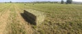 Alfalfa bale packed on freshly mown field
