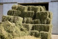 Alfalfa Field with Small Square Bales Royalty Free Stock Photo