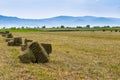 Alfalfa hay bale on fresh cutted agricultural field