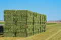 Alfalfa Hay, grown, Baled, ready to be shipped to feed stores. Goodyear, Maricopa County, Arizona USA Royalty Free Stock Photo