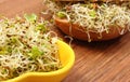 Alfalfa and radish sprouts with wholemeal bread roll. Healthy lifestyles and nutrition