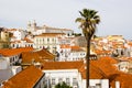 Alfama, Ancient Lisbon, Palm Royalty Free Stock Photo