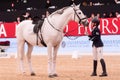 Alfonsina Maldonado ARG with Jordan PRE during Longines FEI World Cup 2019 on November 30 2019 in Madrid Horse Week, Spain