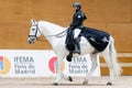 Alfonsina Maldonado ARG with Jordan PRE during Longines FEI World Cup 2019 on November 30 2019 in Madrid Horse Week, Spain