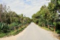 Alfonso XIII Park in Guardamar del Segura, Alicante. Spain. Europe. September 23, 2019